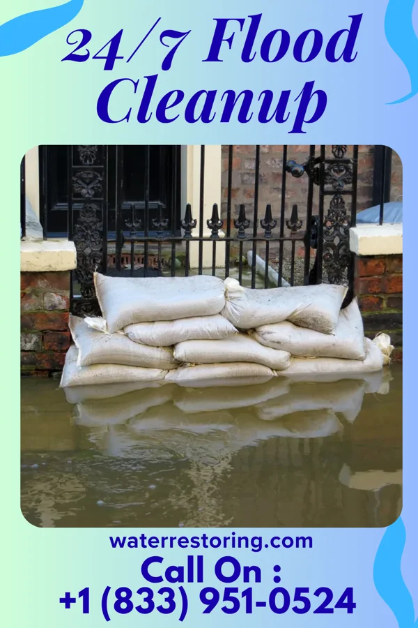 24/7 Flood Cleanup in New Era, MI