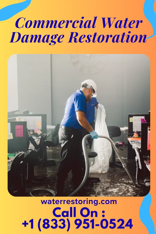 Commercial Water Damage Restoration in New Era, MI