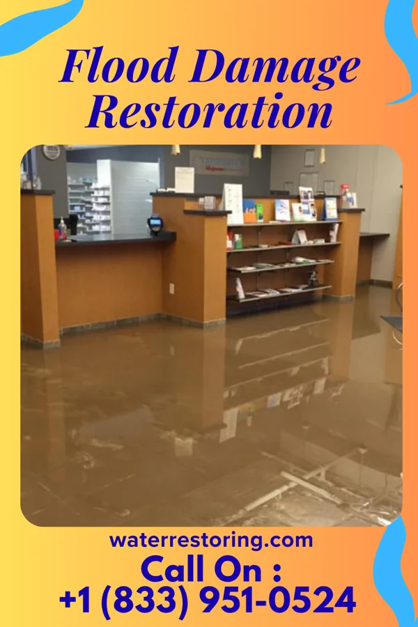 Flood Damage Restoration in New Era, MI