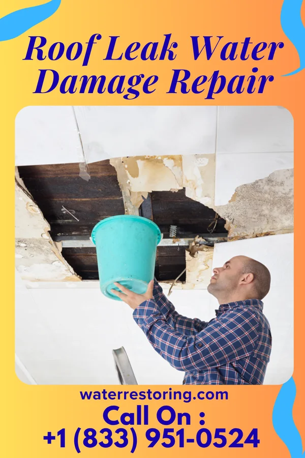 Roof Leak Water Damage Repair in New Era, MI