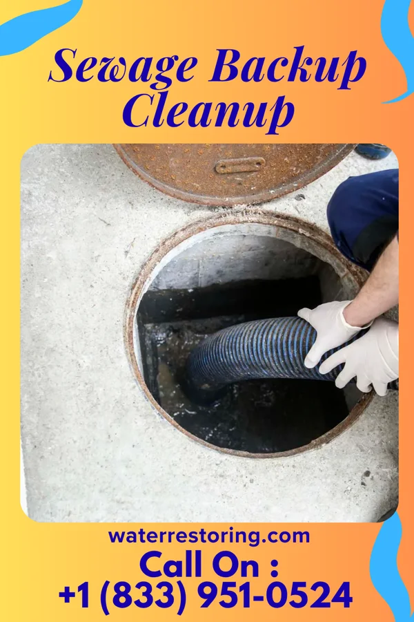 Sewage Backup Cleanup in New Era, MI