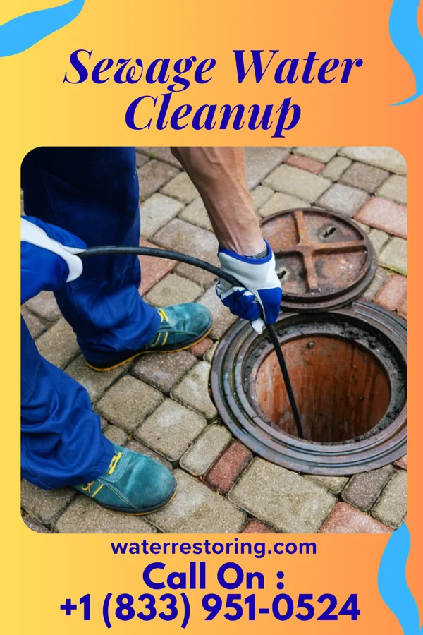 Sewage Water Cleanup in New Era, MI