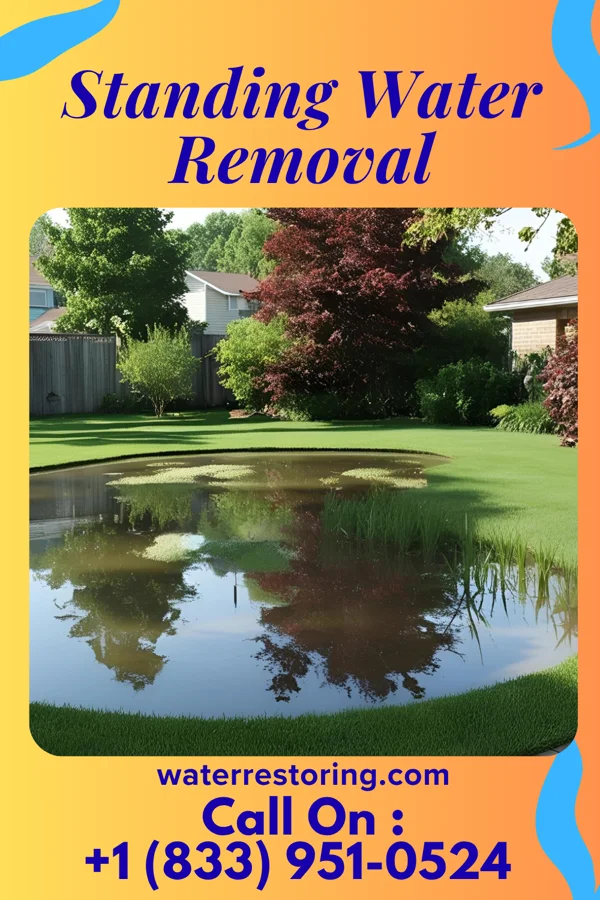 Standing Water Removal in New Era, MI